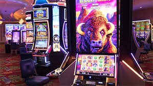 bet 74 bet 74